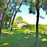 Awesome In